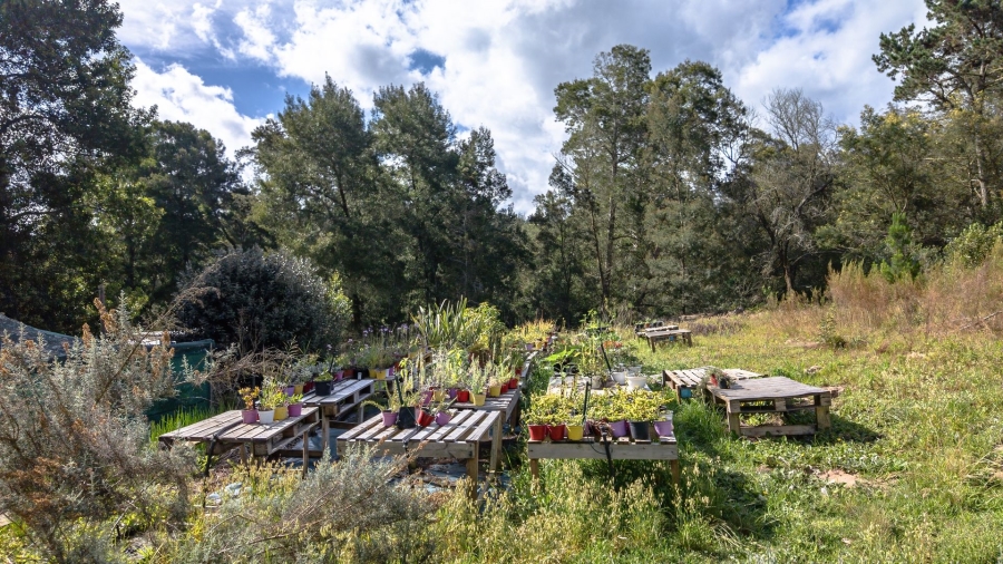 Commercial Property for Sale in Sedgefield Rural Western Cape